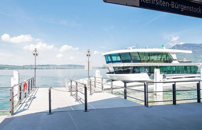 Lucerna - Bürgenstock: Billete de ida y vuelta - Foto 3